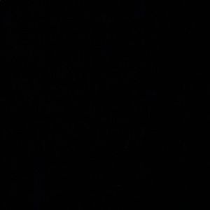 Meet your Posher, Kiara